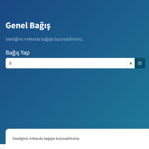 bagis-2